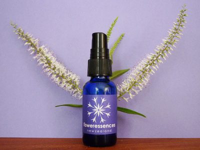 Bottle - oral spray of 8 essences