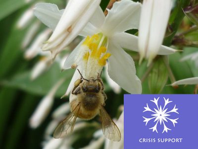 First Light® Crisis Support©