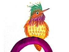 Bird no 3 - 'boldness'