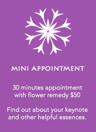 Mini appointment